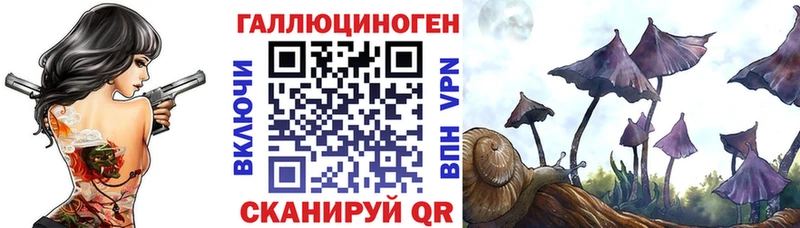 Псилоцибиновые грибы Magic Shrooms  цена   Саянск 